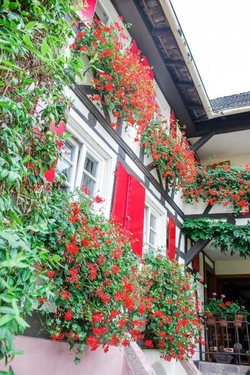 Hotel De Charme 'Zum Schiff' Иффецхайм Экстерьер фото